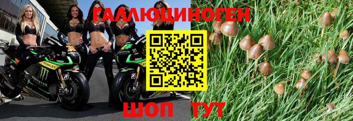 Галлюциногенные грибы мицелий  Вход с VPN  Псилоцибиновые грибы Psilocybe  Кострома 