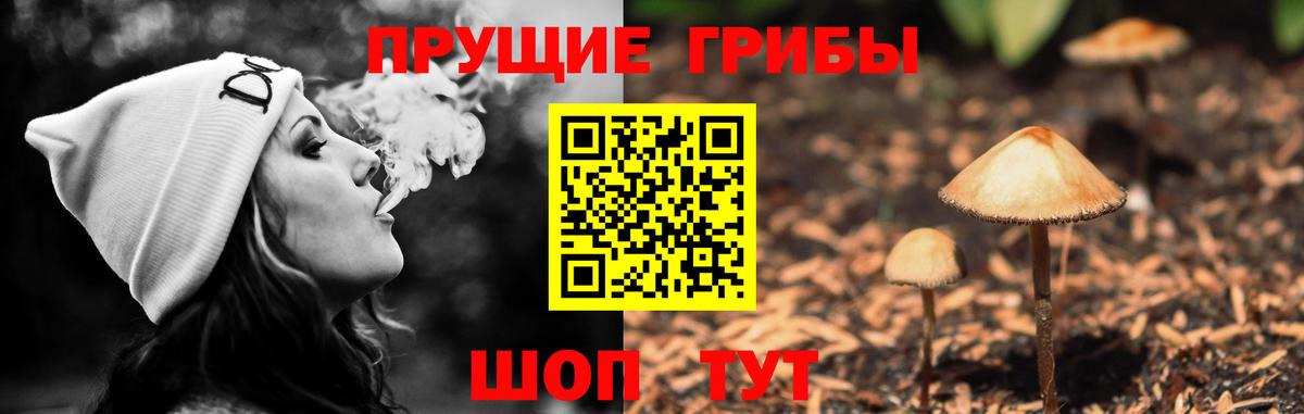 Псилоцибиновые грибы мухоморы Кострома