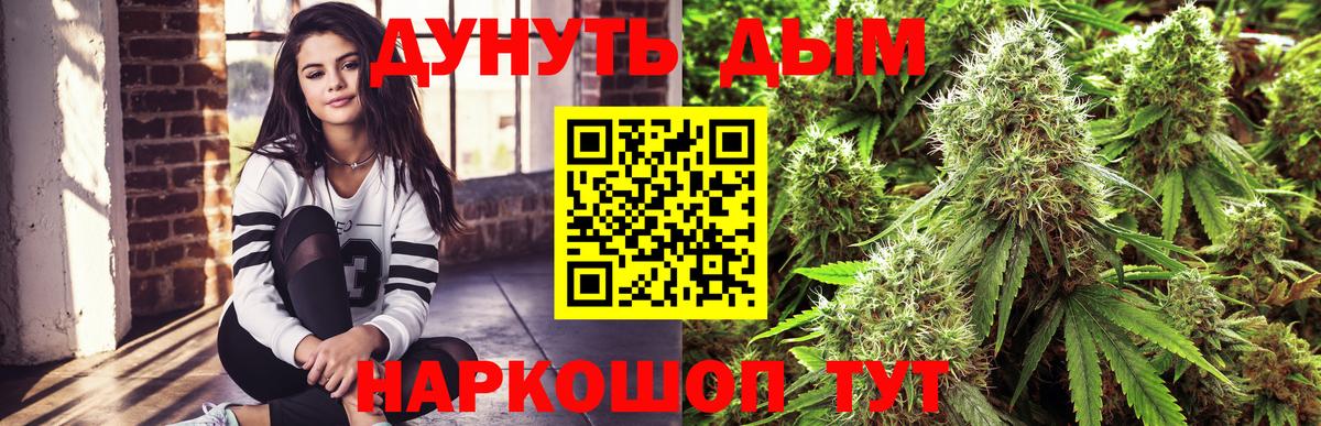МАРИХУАНА гибрид  Бошки Шишки THC 21%  Каннабис конопля  Кострома  Вход с VPN 